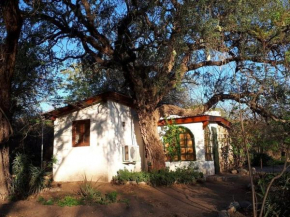 Cabaña Hannah